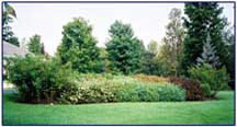 Garden Before